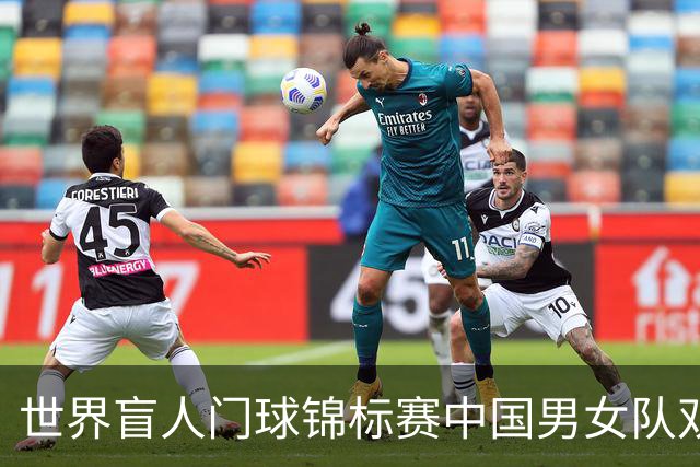 世界盲人门球锦标赛中国男女队双双夺冠