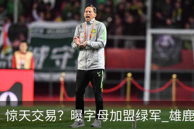 惊天交易？曝字母加盟绿军 雄鹿为布朗寻找第三方