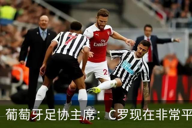葡萄牙足协主席：C罗现在非常平静 在我们面临压力时这将非常重要